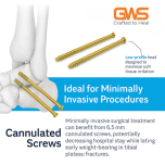 Orthopedic & Headless Cannulated Screws