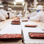 Esteiras Modulares e Correntes Plásticas ou Metálicas