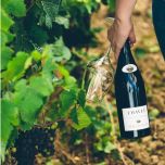 Domaine Chavet - Clos de Beauregard