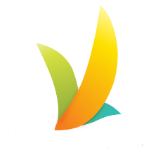 VARISOFT COMPANY LIMITED