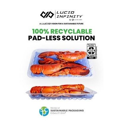 Lucid Infinity™ Seafood (8P) - Clear with light blue tint insert