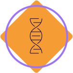 Gene Therapy and mAbs