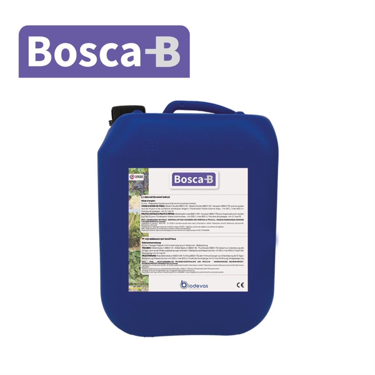 BOSCA-B