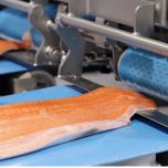 Comprehensive Salmon Processing Solutions