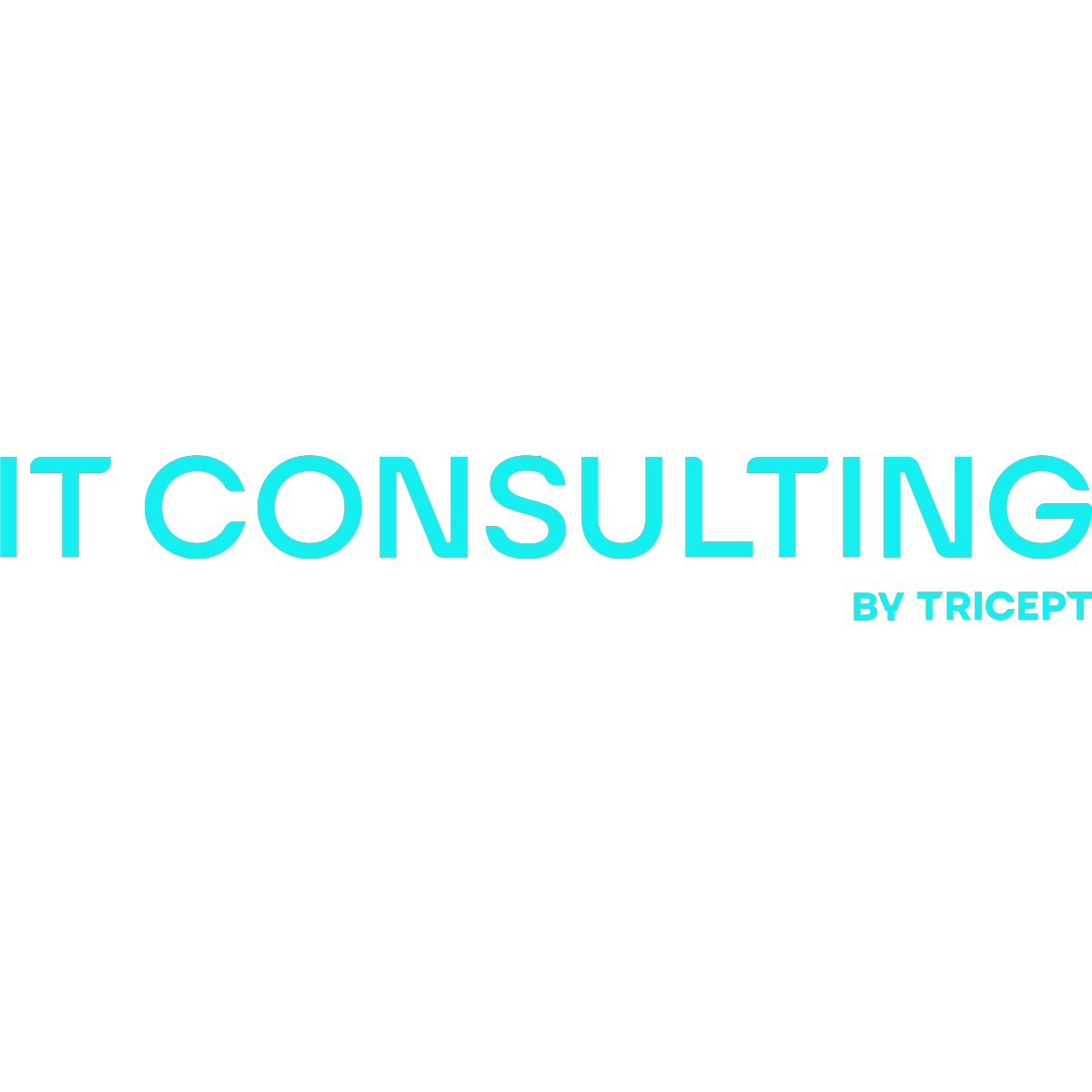 IT CONSULTING