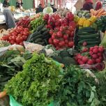 KYRGYZSTAN & UZBEKISTAN: CULTURA E NATURA