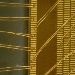 ViTiny UM30 4K Autofocus HDMI USB Digi Microscope