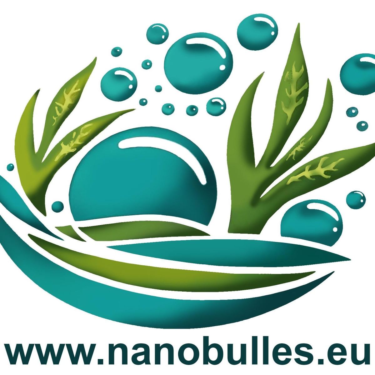 NANOBULLES