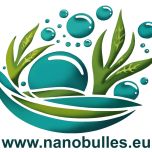 NANOBULLES