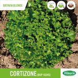 Gamme Laitues Résistantes au Corky Root