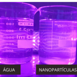 Next nanopartículas de sílica (SiO₂) hidrofílica