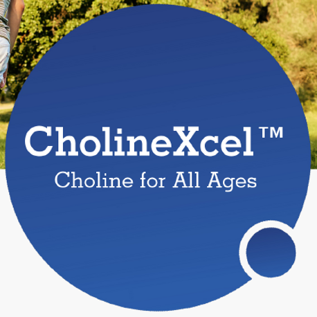 Choline Xcel (Flowable Choline)