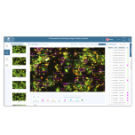 Ai Fluoresence Image scanning and Analysis System Gis-3100
