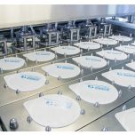 Envasadoras e fechadoras Lineares - Série 100