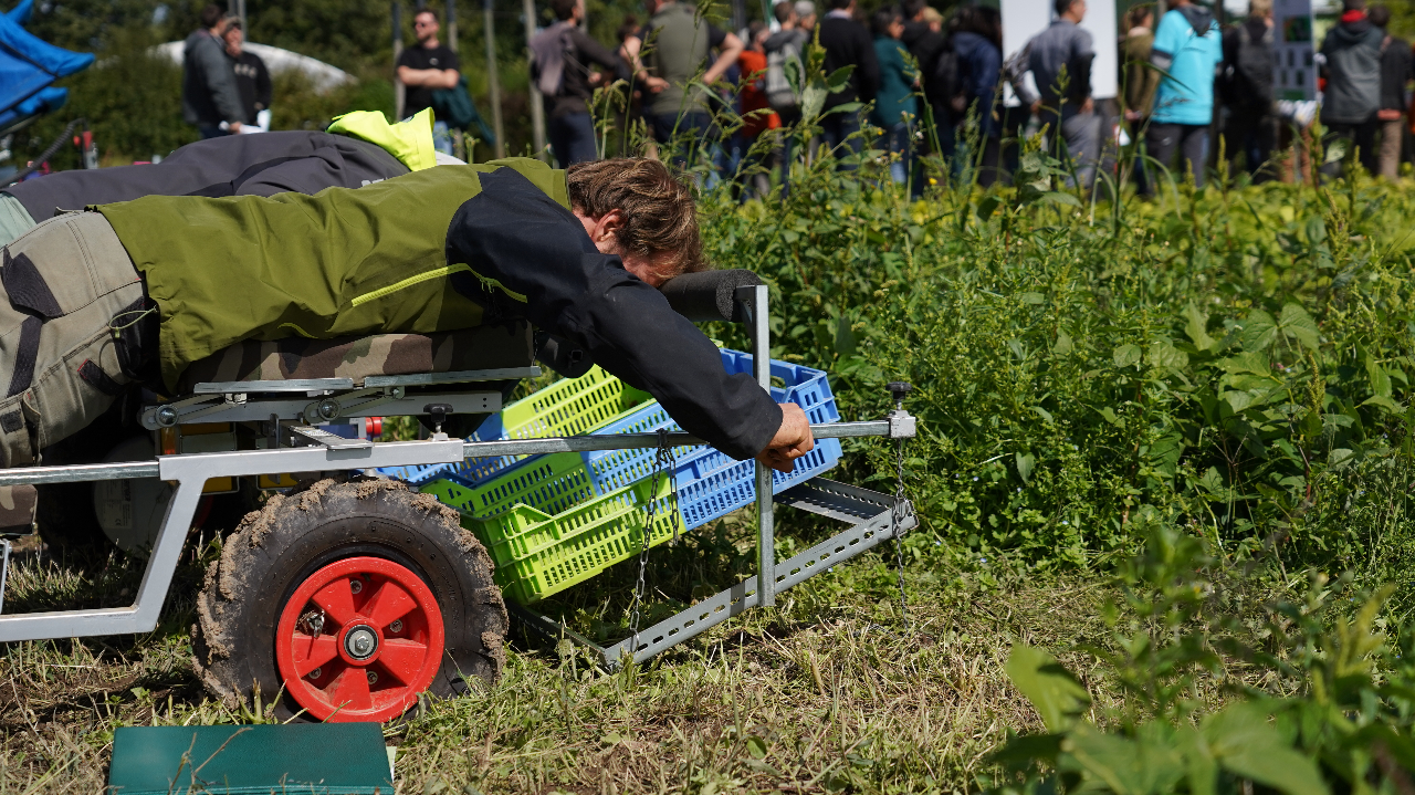 Réduire la pénibilité du travail en maraîchage : des outils qui changent la donne