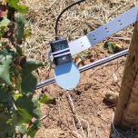 Leaf Wetness Monitoring with Advanced Weather Monitoring Kit