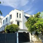 Hemo Brand Vacuum & Non Vacuum Blood Collection Tube