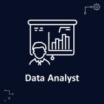 Data Analyst