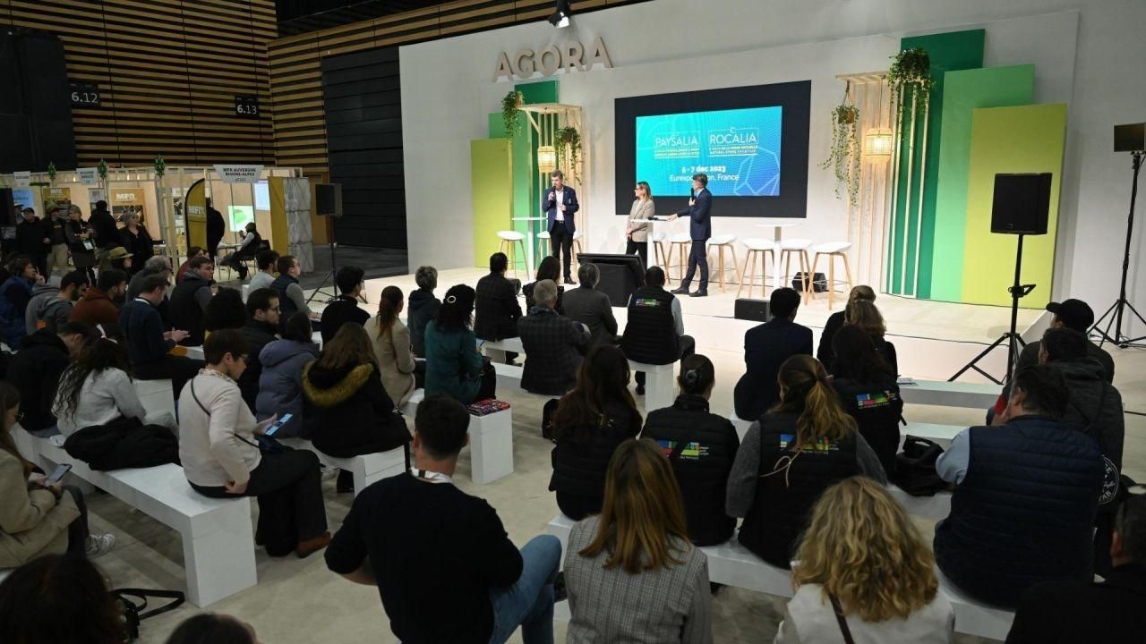 French Wood Mornings