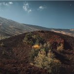 Escursione di mezza giornata al mattino o al tramonto