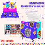 Direct Store Delivery (DSD) Program