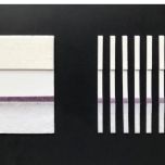 Rapid Test Uncutsheet