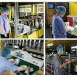 VINYL GLOVES AND NITRILE GLOVES