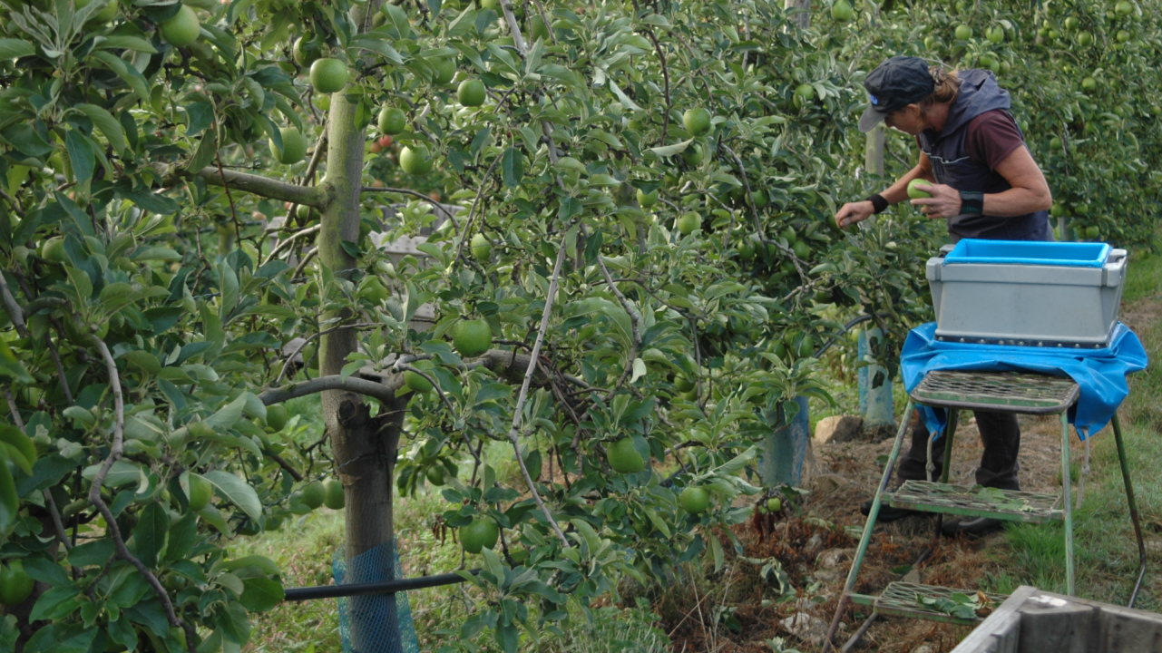 Employeurs : quelles solutions pour recruter, fidéliser et sécuriser les salariés ?