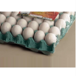 Filme Poliolefínico