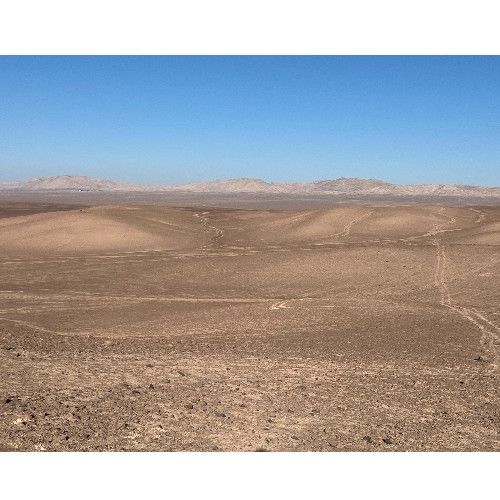 GAM - Production of renewable ammonia for power-to-X in Chile