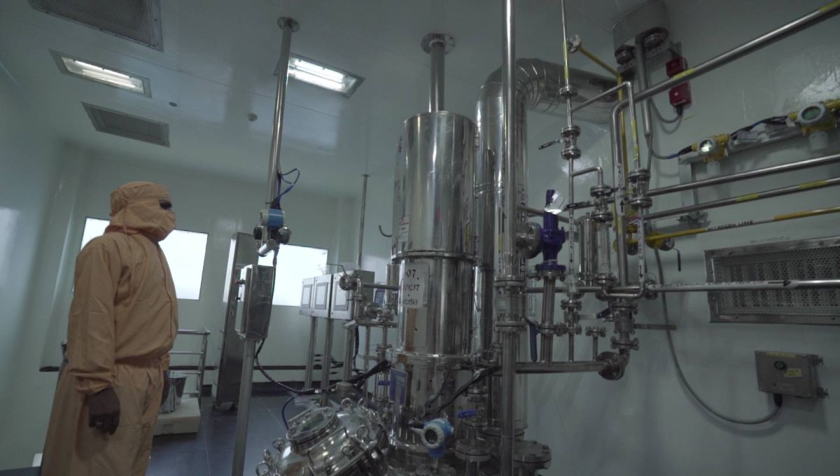 API/Formulation Manufacturing Services