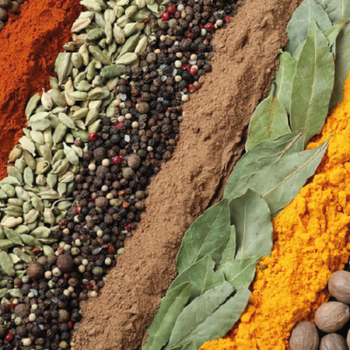 Épices, plantes aromatiques et aromates