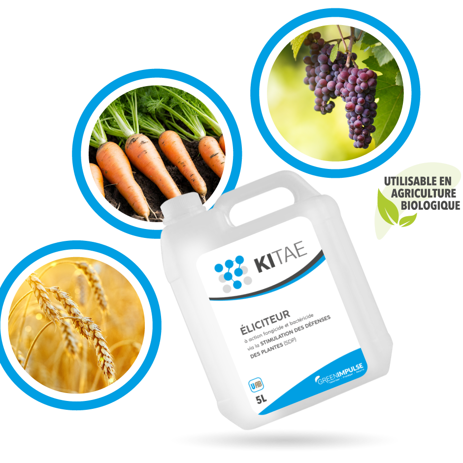 KITAE, votre solution de protection innovante