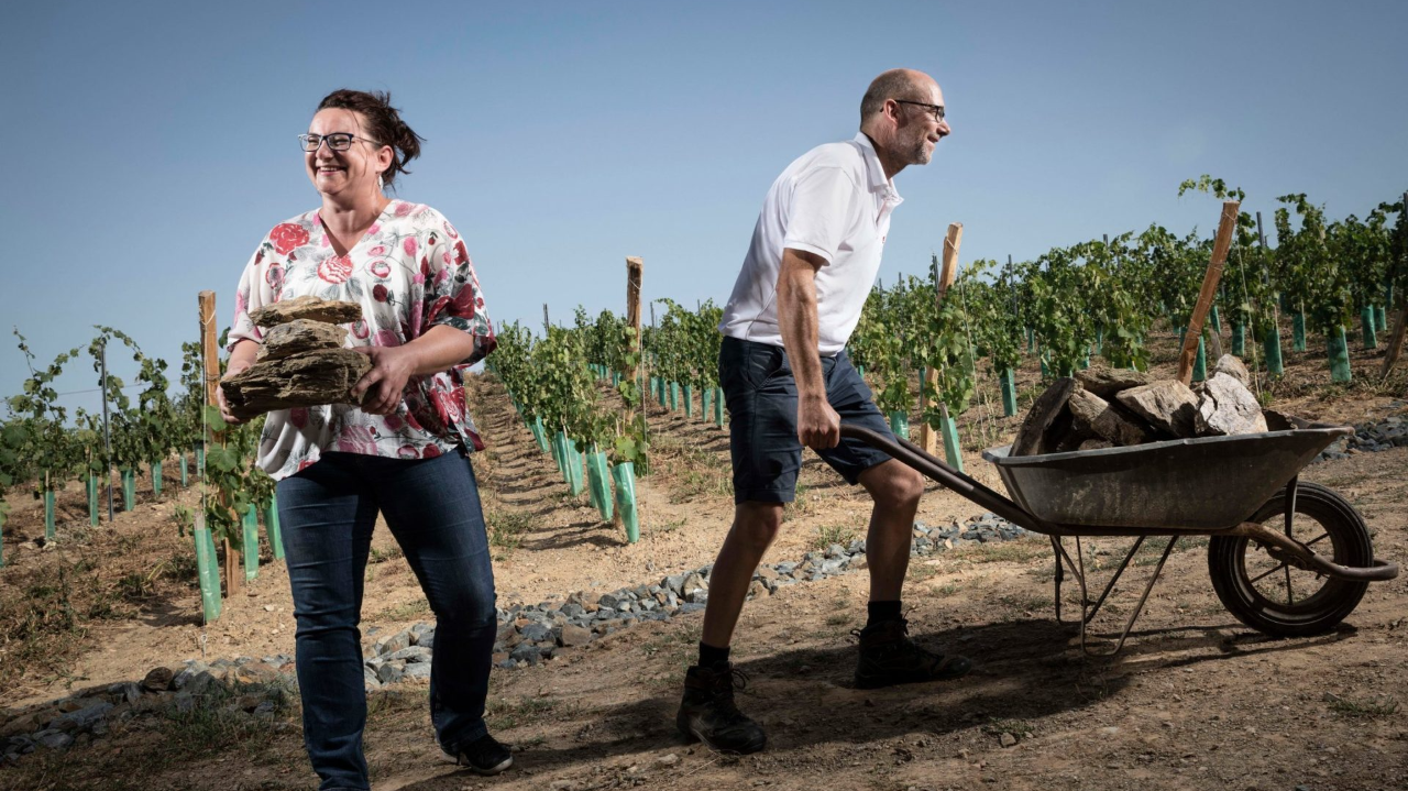 L'œnotourisme apporte-t-il une nouvelle clientèle pour le domaine ?