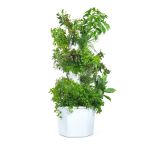 Aerospring Outdoor consumer version