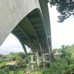 Seismic Retrofitting in Record Time with Allplan Bridge