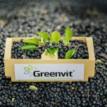 FENACTIVE® Antiviral support