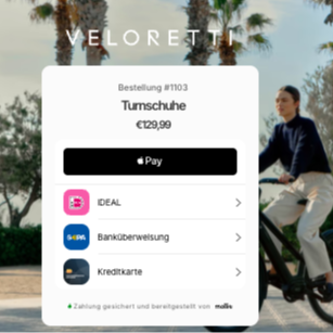 Mollie Online Zahlungen