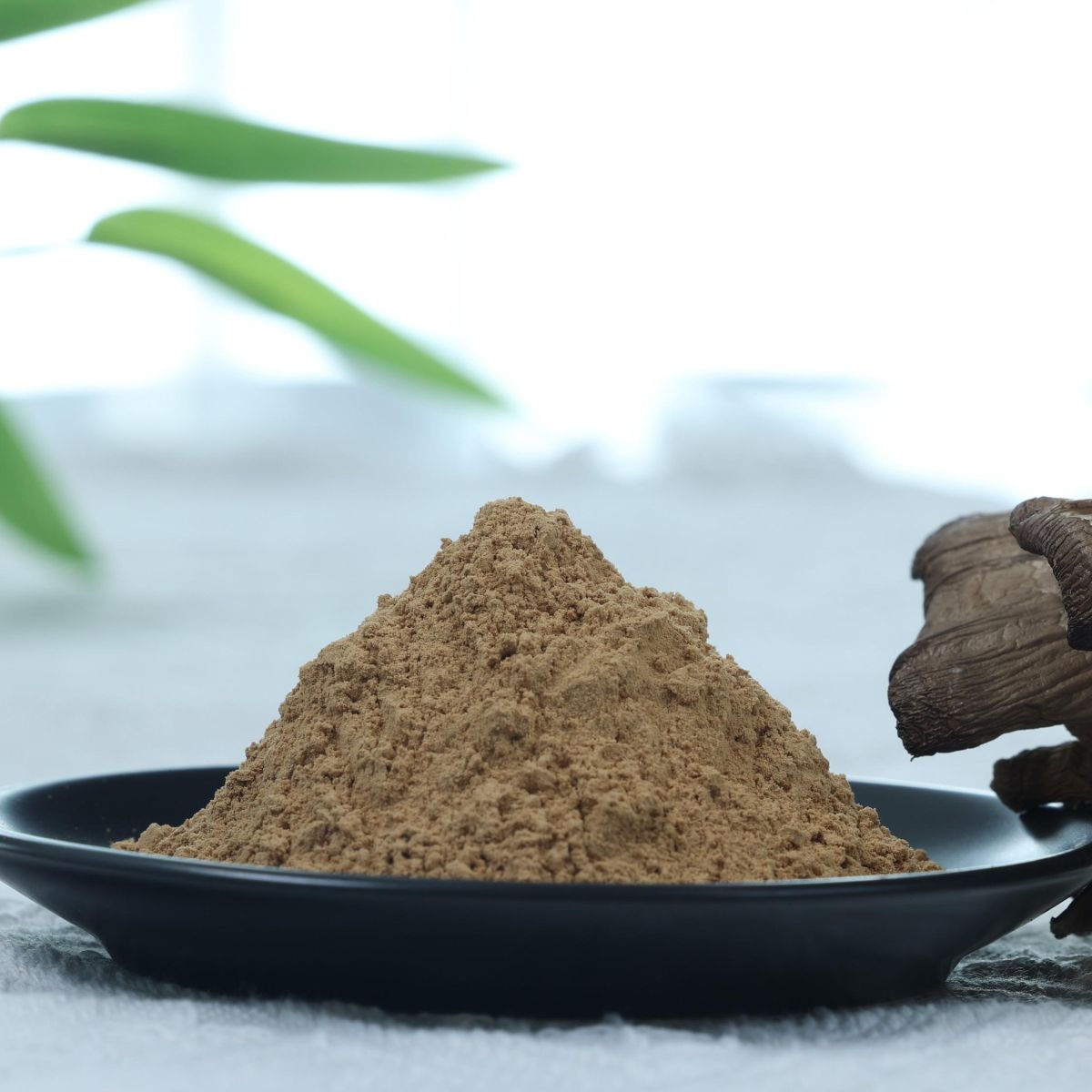 Organic Maitake (Grifola frondosa) Powder