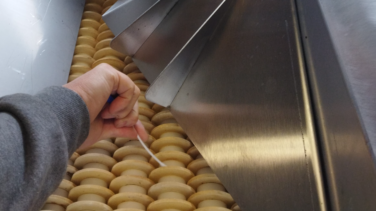 Hygiène et microbiologie préventives au chai : présentation de cas pratiques