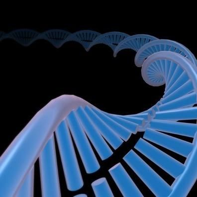 Quality Control Testing