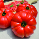 Tomatoe Marmalysa F1 Bio