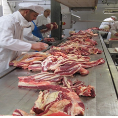 Fita de Aço para esteira de desossa