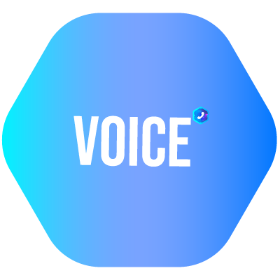 VOICE