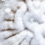 Maris ARA Oil, Omega-6 - for Infant formula