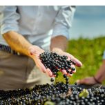 Oculoxin® For visual health and support