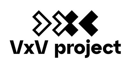 VXV PROJECT SRL