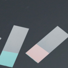 ^MF991 Glass Slides Pathology Grade Color Frosted