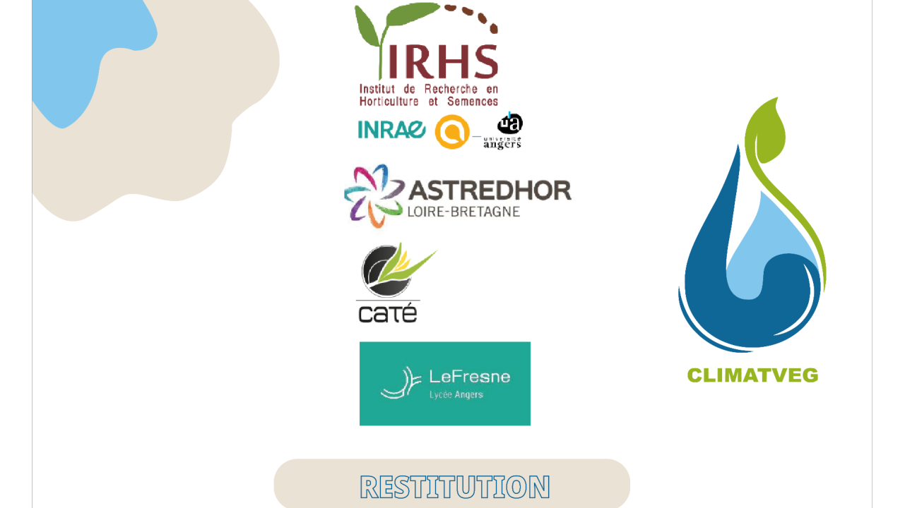 Augmenter la résilience au stress hydrique de jeunes plants d’ornement & potagers via l’étude du priming de pieds-mères et de porte-graines