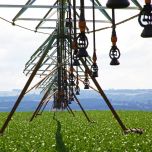 Pivô BAUER - CenterStar 9000